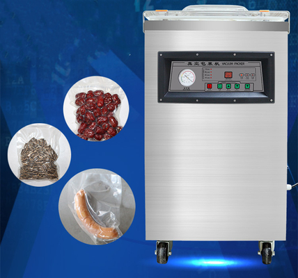 Macchina elettrica di sigillamento a vuoto per alimenti DZ-500/2E per lo stoccaggio degli alimenti