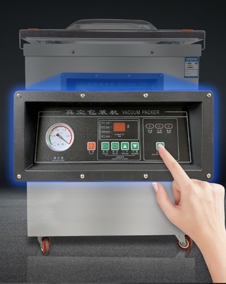 Macchina elettrica di sigillamento a vuoto per alimenti DZ-500/2E per lo stoccaggio degli alimenti