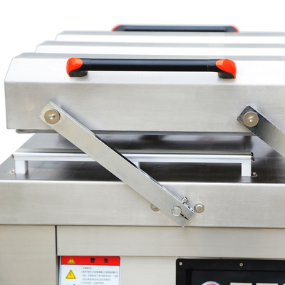 Potenza di sigillamento di 800W DZ-500/2SA Macchina di imballaggio a vuoto automatico a doppia camera di carne