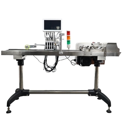 10 Inch Touch Screen Online Carton Coder Data di scadenza Stampa batch code con codifica