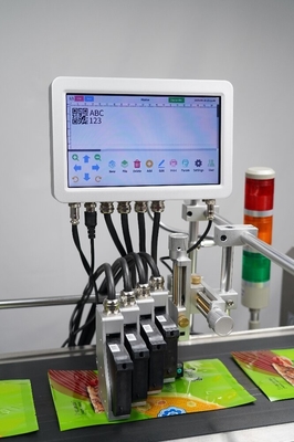10 Inch Touch Screen Online Carton Coder Data di scadenza Stampa batch code con codifica